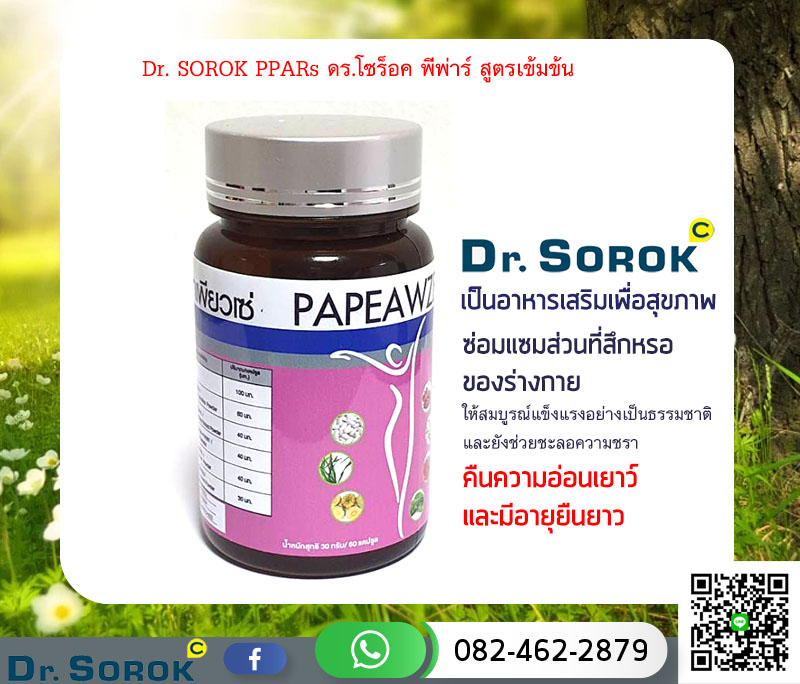 Dr. SOROK พาเพียวเซ่ Papawze Dr. Sorok เป็นอาหารเสริมเพื่อสุขภาพและซ่อมแซมส่วนที่สึกหรอของร่างกาย